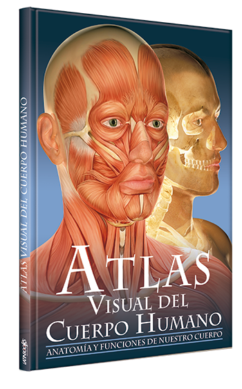 Atlas Visual del Cuerpo Humano